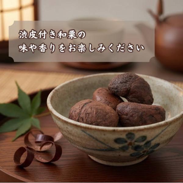 ���Y�嗱�ÌI �ނ��a�I ���a��t�� �O��I�E�}�g�I�g�p ���Y�I ���g���g�p�E�` 4902855522231 ���i�摜3