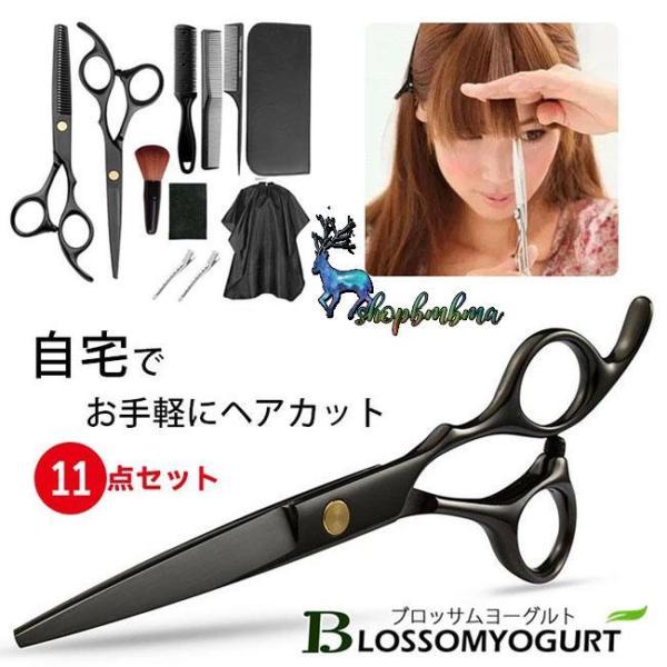 ステンレス製散髪用シザー ケース付き 2本セット/美容師 ステンレスハサミ 専用ケース付 高級モデル ヘア