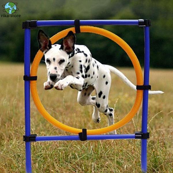 爆買　ドッグアジリティ 円型 タイヤ型 イヌ 犬の敏捷性機器 競技用 障害物競争 敏捷性 遊び道具 スポーツ ミニハードル 公園 屋外 解消 ドッグラン ドッグラン ドッグ用品 ペットトレーニング 障害物 柵 競技 競争 練習 訓練 運動不...