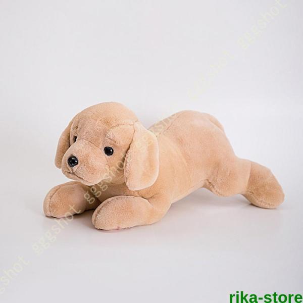 ぬいぐるみ 犬 ゴールデンレトリバーゴールデン お誕生日 ギフト