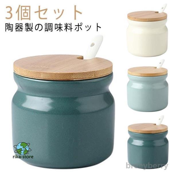 ☆宇田ゼブラホリダ　山中勇人　白衣ホリダ　ホリダ　オベサ　ユーフォルビア ☆宇田ゼブラホリダ 山中勇人 白衣ホリダ ホリダ オベサ