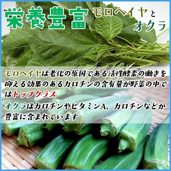 野菜 ネバネバ この夏はネバネバで乗り切ろう！旬の３大ネバネバ葉野菜に注目