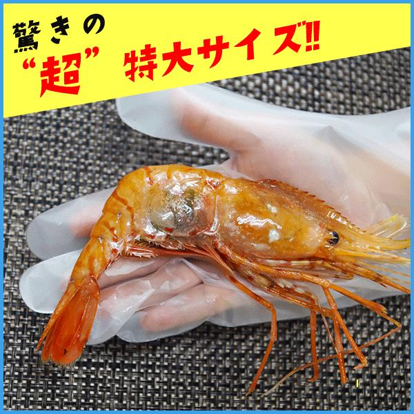 エビ海老えび 超々特大ボタン海老1kgに13 15尾ロシア産船上凍結海鮮70代60代 Buyee 日本代购平台 产品购物网站大全 Buyee一站式代购bot Online