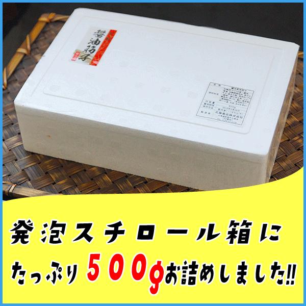 賞味期限年6月13日 醤油漬け紅鮭筋子500g アラスカ湾産紅鮭卵を厳選 すじこ 紅子 ベニコ 魚卵 海鮮 ギフト Buyee 日本代购平台 产品购物网站大全 Buyee一站式代购 Bot Online