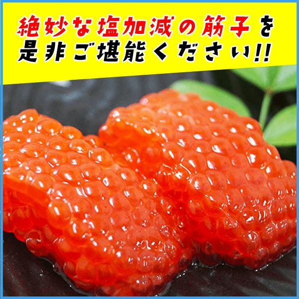 賞味期限年6月13日 醤油漬け紅鮭筋子500g アラスカ湾産紅鮭卵を厳選 すじこ 紅子 ベニコ 魚卵 海鮮 ギフト Buyee 日本代购平台 产品购物网站大全 Buyee一站式代购 Bot Online