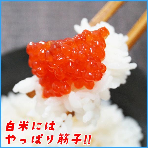 賞味期限年6月13日 醤油漬け紅鮭筋子500g アラスカ湾産紅鮭卵を厳選 すじこ 紅子 ベニコ 魚卵 海鮮 ギフト Buyee 日本代购平台 产品购物网站大全 Buyee一站式代购 Bot Online