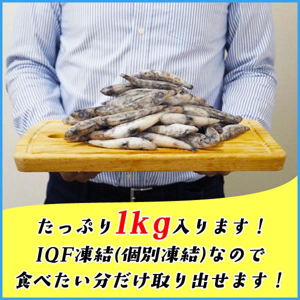 宮城県産メヒカリ 大容量1kgに50尾前後入り めひかり 目光 唐揚げ 天ぷら Buyee Buyee 日本の通販商品 オークションの代理入札 代理購入