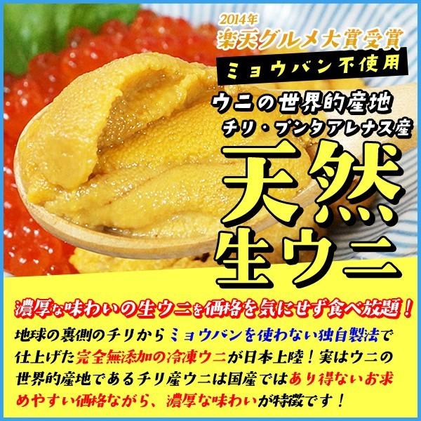 チリ産ミョウバン不使用天然生ウニ100g 冷凍食品完全無添加うに雲丹 代購幫