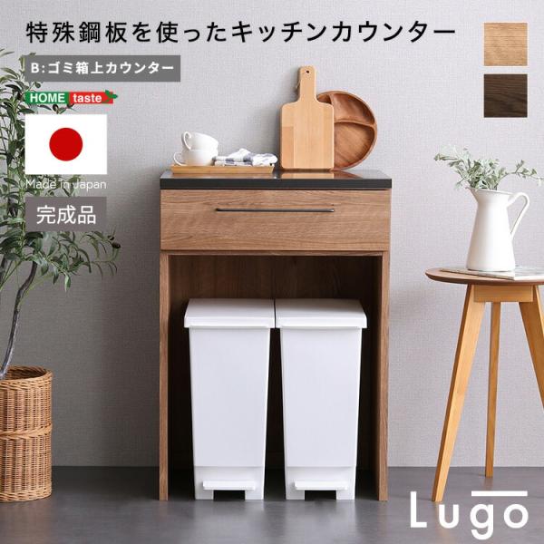 特殊鋼板を使ったキッチンカウンター【Lugo】ゴミ箱上カウンター　60cm 日本製 特殊鋼板を使ったキッチンカウンター【Lugo-ルゴ-】ゴミ箱上