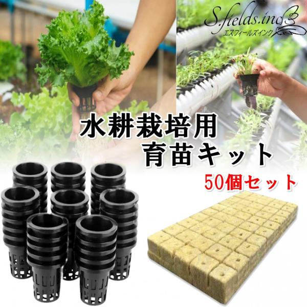 「商品情報」「主な仕様」水耕栽培用ロックウールブロックと育苗ポット50個セットです。ロックウールに種子を入れ、ポットにセットすることで、程よく種に水分が行き渡り、発芽を促進し、植物の成長速度をコントロールすることが可能です。種子をセット後は...