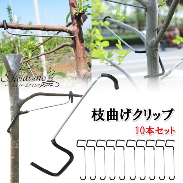 「商品情報」「主な仕様」ステンレス製の枝曲げクリップ10個セットです。枝の角度を調整し、バランスの取れた成長を促すことで、果樹の収穫量の向上や整枝作業の効率化に役立ちます。[18cm]クリップの先端にゴム製のクッションが付いており、枝からの...