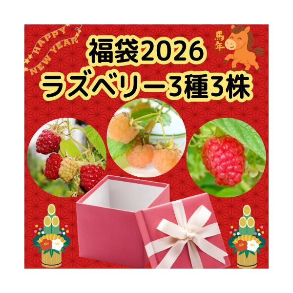 育てやすく、手軽に楽しめる果樹です。生食のほか、スイーツの飾り付けや材料、ジャムやお菓子など使えます。【セット内容：3品種　各1本】●サンタナ・・・豊産性に優れており、酸味と甘みのバランスとれた品種です。夏採りが主ですが、秋にも収穫できる二...