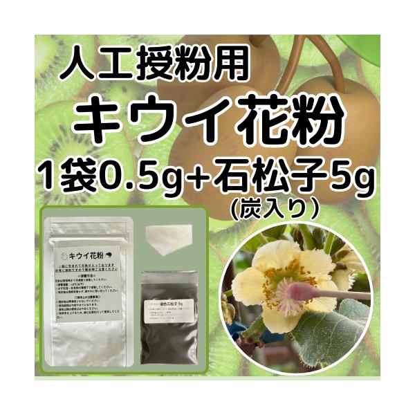 キウイ花粉0.5g・染色石松子（炭入り）5gセット