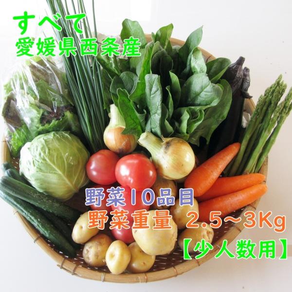 ■内容物キャベツ・アスパラガス・なす・胡瓜・じゃがいも・玉ねぎ・人参・　ほうれん草・　小松菜・チンゲン菜（原木椎茸・干スライス）などの　10種類のセット　でお送り致します。　※原木椎茸・干スライスは時節により優先します。使い切りセットでお送...