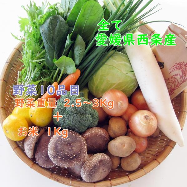 ■内容物キャベツ・アスパラガス・なす・胡瓜・じゃがいも・玉ねぎ・人参・ピーマン・　小松菜・チンゲン菜（原木椎茸・干スライス）などの10種類とお米1Ｋｇのセット　でお送り致します。※原木椎茸・干スライスは時節により優先します。使い切りセットで...