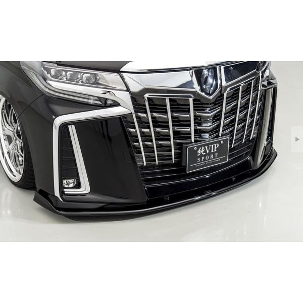 GCQCiAIMGAINj VIPX|[c tgA_[X|C[h 30nAt@[hyrEGAO[hpz