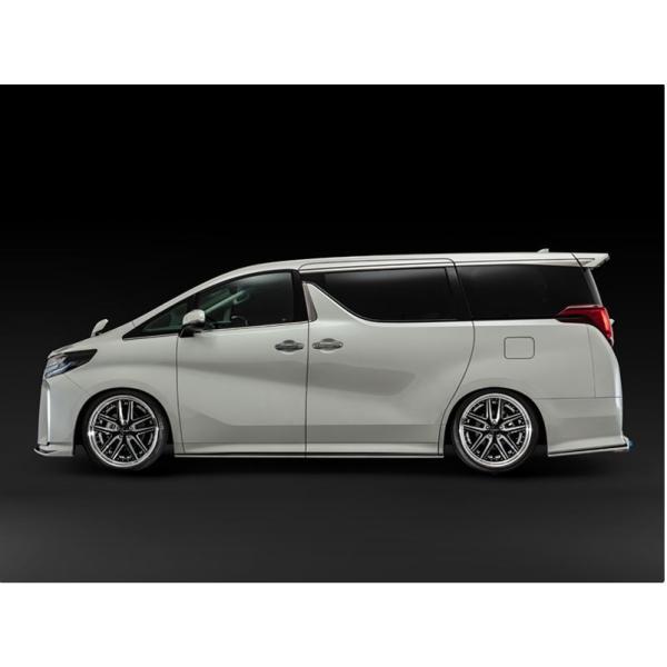 Ah~CViadmirationj LSCTChA_[X|C[hς(2FhJ[) 30nAt@[hyrEGAO[hpz