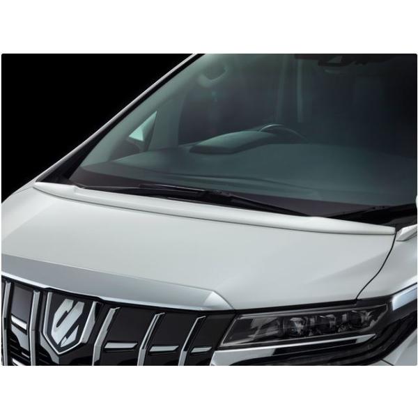 Ah~CViadmirationj LSC t[hX|C[ 30nAt@[hyrEGAO[hpz