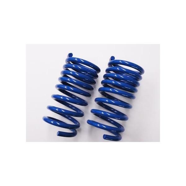 OVERTECH（オーバーテック） ふんばるぞープラス ハイレートスプリング