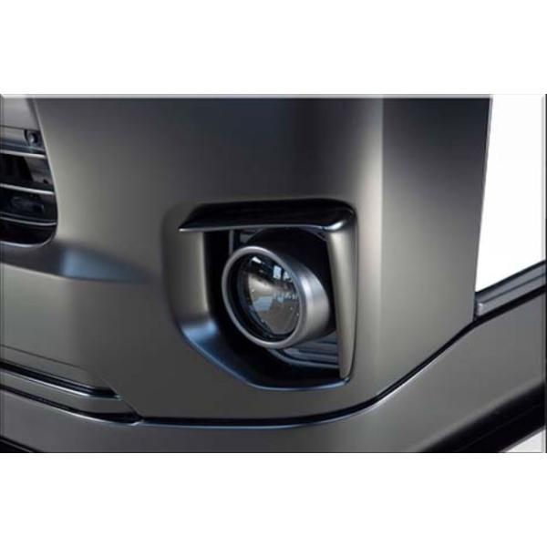 SADJX^(SAD-CUSTOM) DAISY^Cv4 200nnCG[XyW{fBz tHOK[jbVh