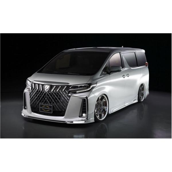 @hiWALDj GA3_Zbgh 30nAt@[hyrEGAO[hpz GN[NeBuC