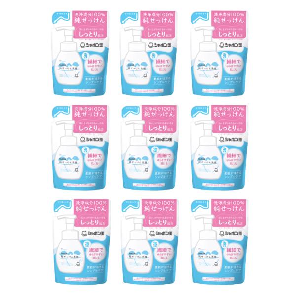 純せっけん洗顔泡タイプ本体200ml