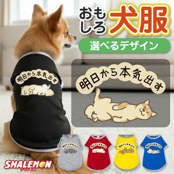 犬服 犬 ( 明日から本気出す 選べるデザイン 選べるサイズ ) 選べる犬種 おもしろTシャツ ドッグ Tシャツ 服 ドッグウェア 散歩 公園 ドッグラン 愛犬家 犬好き