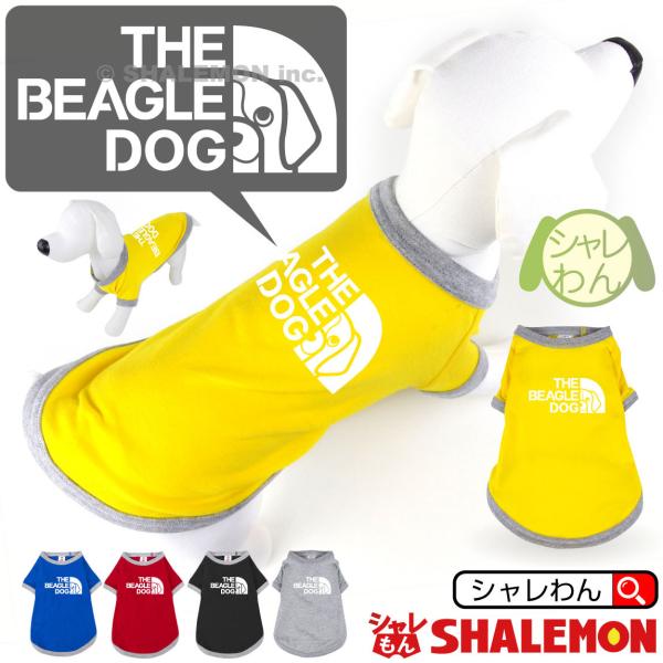 shalemon_dogt5c-beagleface