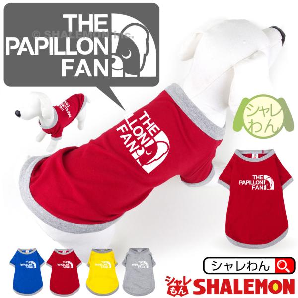 shalemon_dogt5c-papillonfan