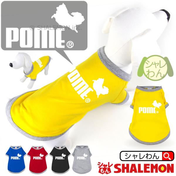 shalemon_dogt5c-pome
