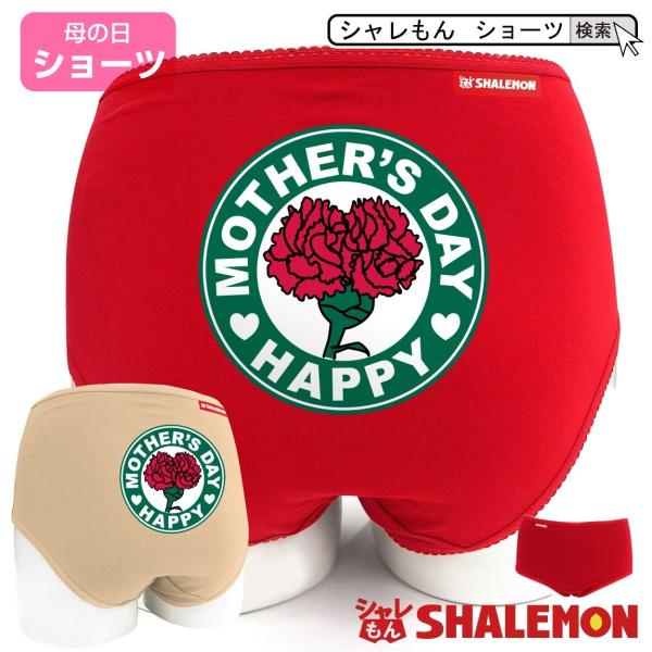 ̓ v[g Mtg ( V[c J[l[V JtFiԁj ) J[l[V  t@bV V