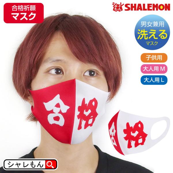 iF  􂦂 }XN ( q}XN ) ( iF gi )  F B  (syk)