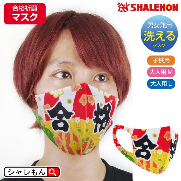 iF  􂦂 }XN ( q}XN ) ( iF gi )  F B  (syk)