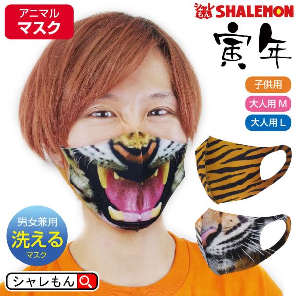 Vt N  􂦂 ( q}XN ) ( Iׂ3fUC  }XN ) ДN Օ  (syk)