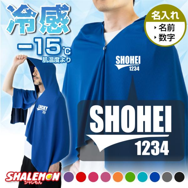 [Release date: November 13, 2025]