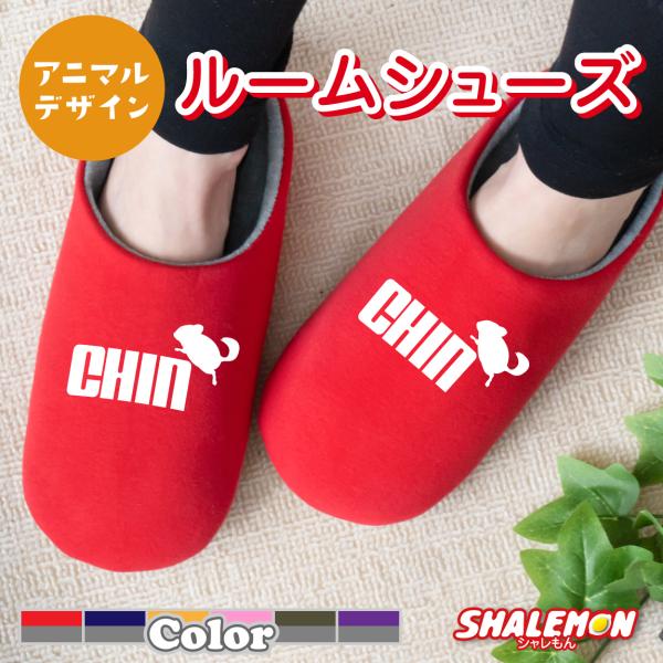 shalemon_slipp2c-chinchira