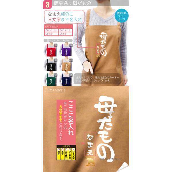 母の日 名入れ エプロン プレゼント 実用的 エプロン 母の日 選べるデザイン 名入れ 選べる4カラー カーネーション ギフト 母 おもしろ A10 Slm Buyee Buyee 日本の通販商品 オークションの代理入札 代理購入