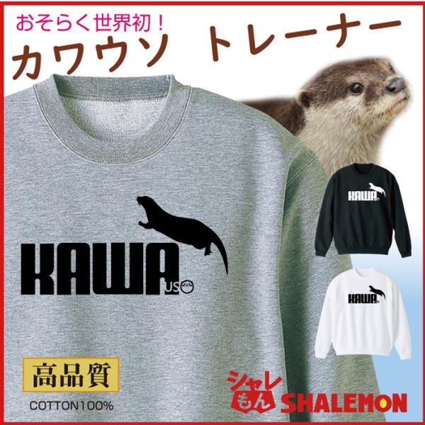 shalemon_trcl3c-kawauso