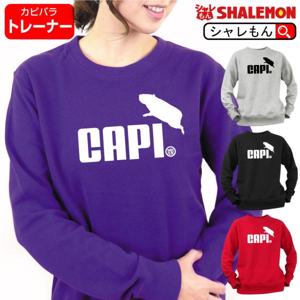  g[i[ ( Iׂ4F Jso Wv ) XGbg XEFbg jp Y fB[X gbvX  Aj}   lY~(Q1)