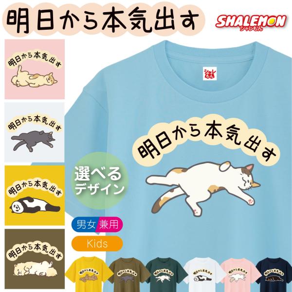 おもしろTシャツ キッズ おもしろ tシャツ かわいい ( 明日から本気出す 脱力 選べる デザイン × カラー ) 猫 茶トラ 三毛猫 長毛猫 黒猫 犬 ポメラニアン