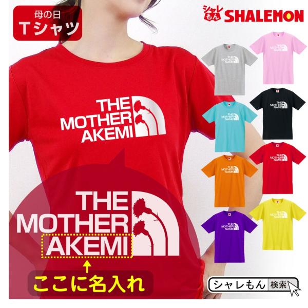 ̓ v[g Mtg ( Iׂ8J[ TVc   }} tFCX ) J[l[V  t@bV/slm/