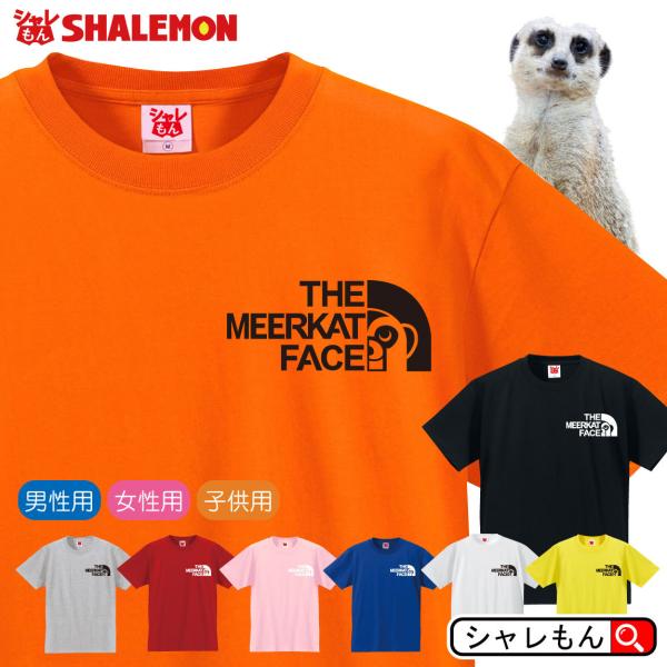 shalemon_tscs8c-meerkatface