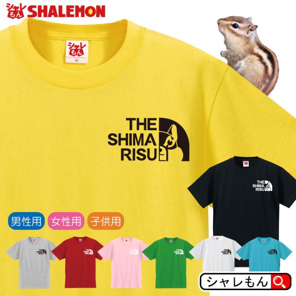 shalemon_tscs8c-shimarisuface