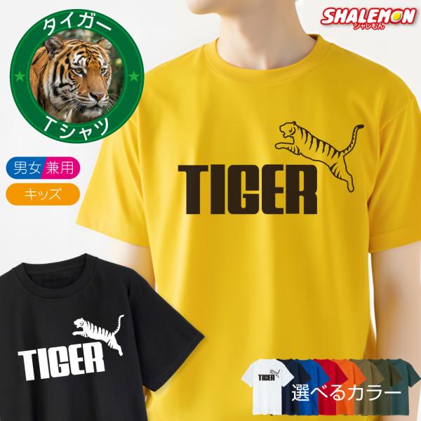 shalemon_tscs8c-tiger