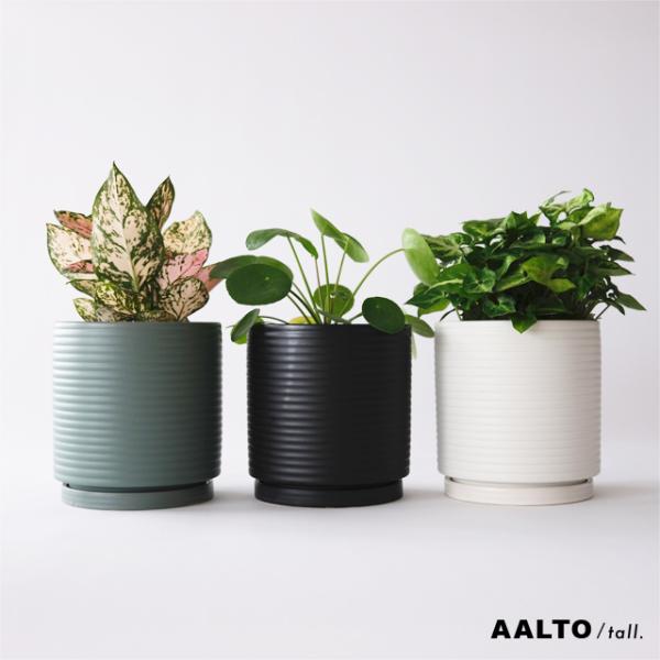 陶器鉢特大二点セット 検)植木鉢 カタチ製作所 バリエム AALTO【 tall 】15cm×15cm 植木鉢 受皿付 5号 シンプル グリーン