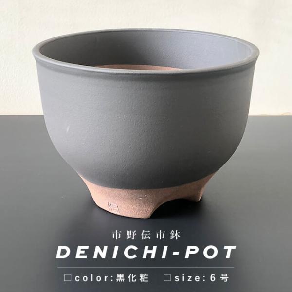 shallowplants_den-kuroge-6
