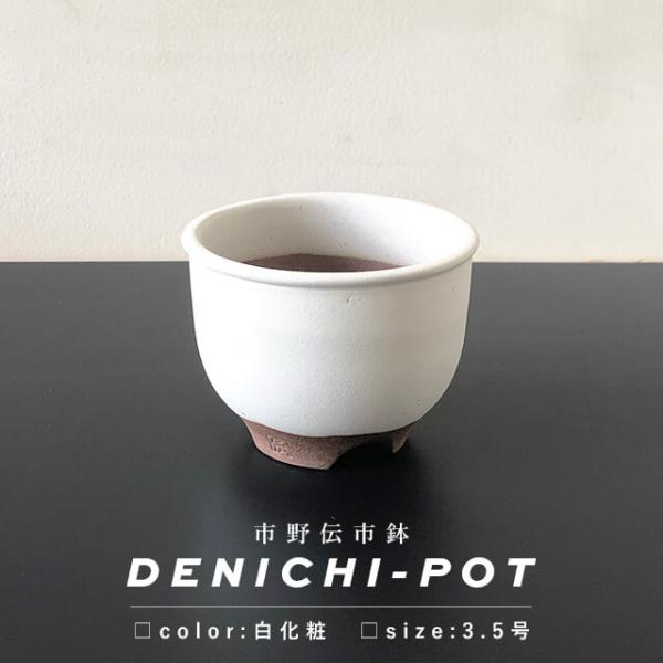 市野伝市窯は、初代市野伝市氏より植木鉢に特化した窯元。“伝市鉢”は、研究を重ねて数種類の土を配合した丹波の土を使っています根腐れしにくいよう内側には中央に向かって傾斜をつけ、底穴は大きくするなど、[通気性]や[水捌け]に独自の工夫がなされて...