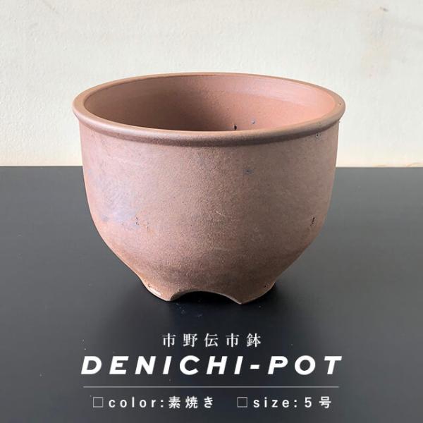 伝市鉢 5号 奈良 PCP 別注 3色 と 素焼 登り窯 窯変 コウロ型 アガベ shallowplants_den-suyaki-5