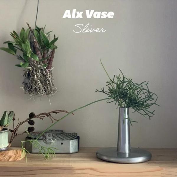 shallowplants_detail-alx-vase-