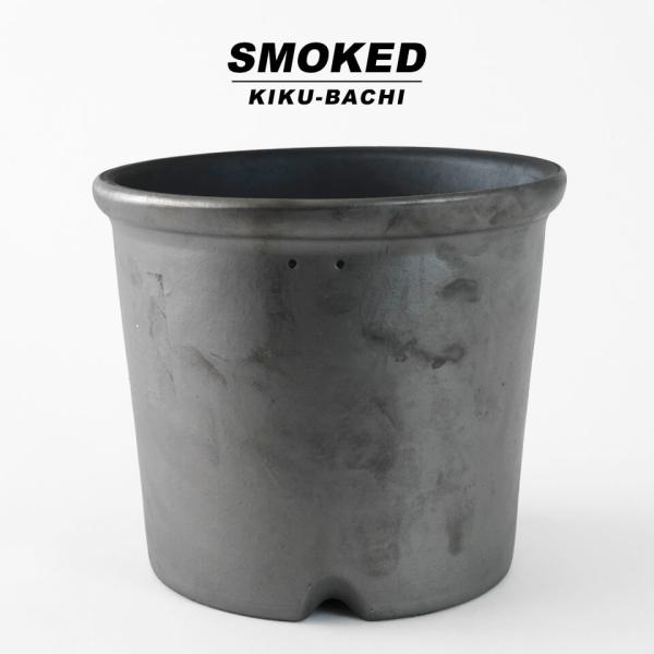 shallowplants_ms-smkd-kiku7